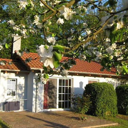 Hotel Bungalow Am Haussee Himmelpfort Exterior foto