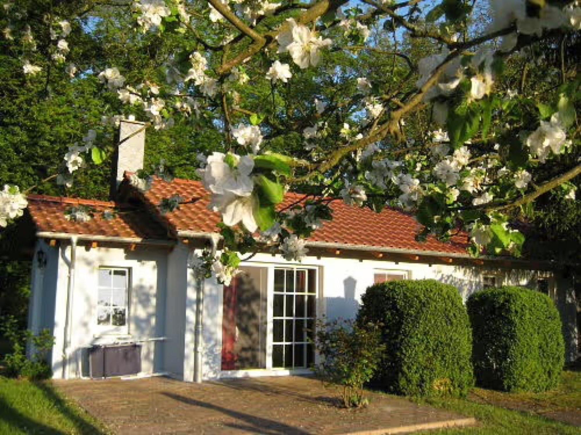 Hotel Bungalow Am Haussee Himmelpfort Exterior foto